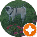 Kaitlynn M. profile picture